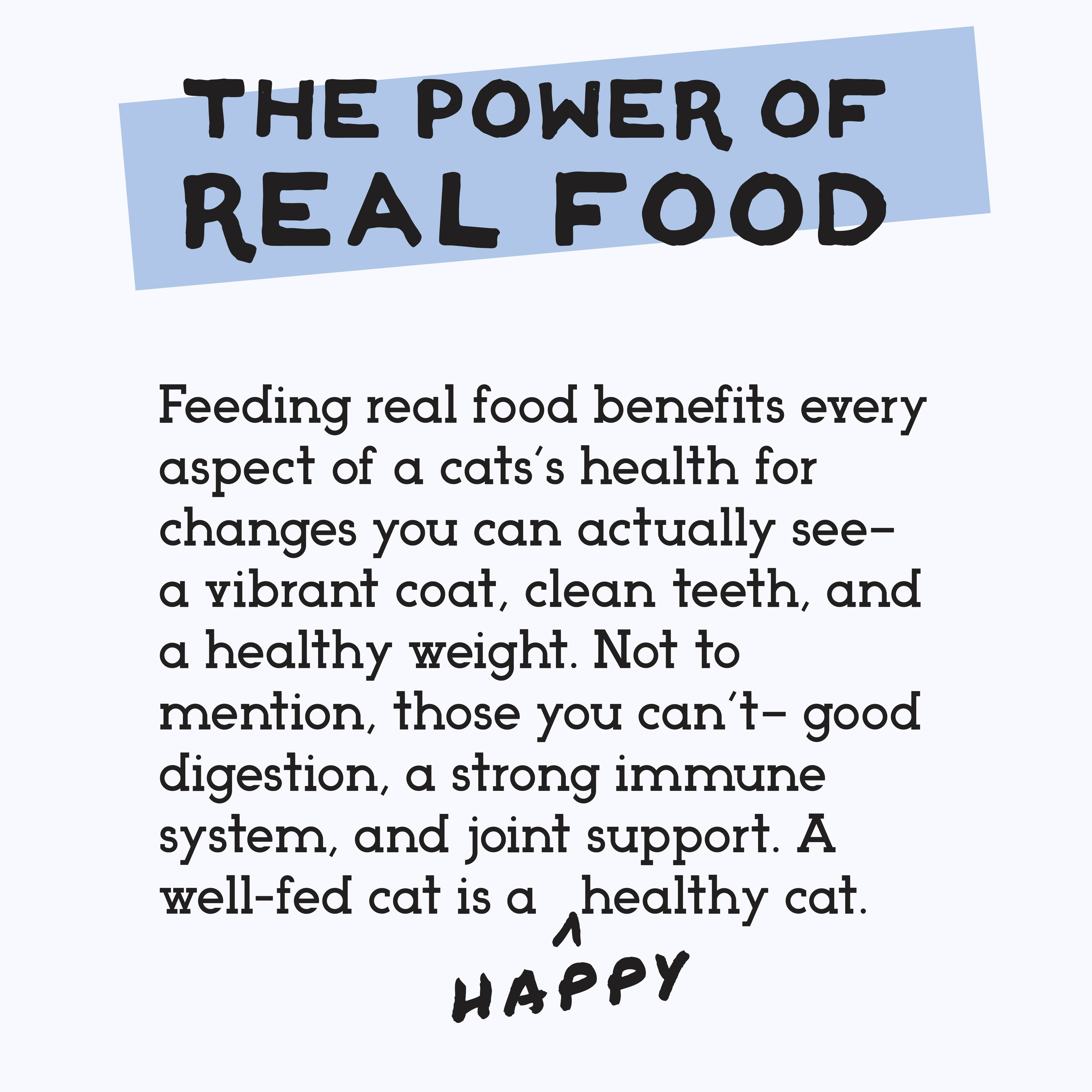 Simple Food Project Food for Cats