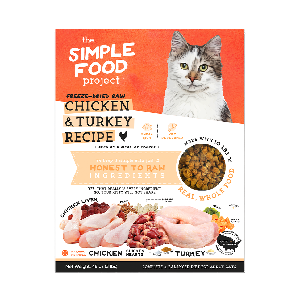 Simple Food Project Food for Cats