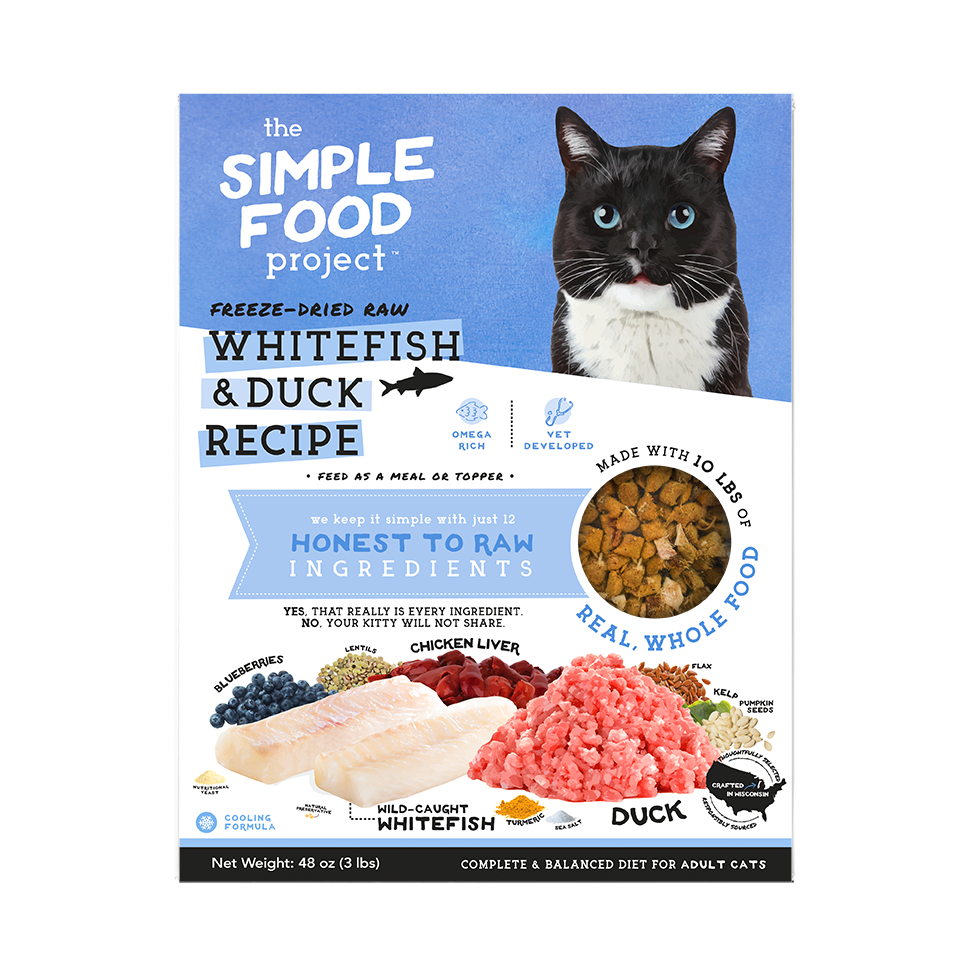 Simple Food Project Food for Cats