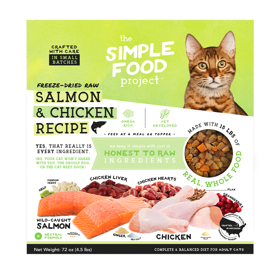 Simple Food Project Food for Cats