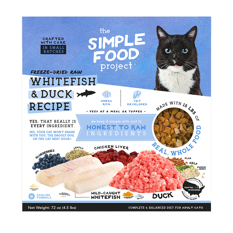 Simple Food Project Food for Cats