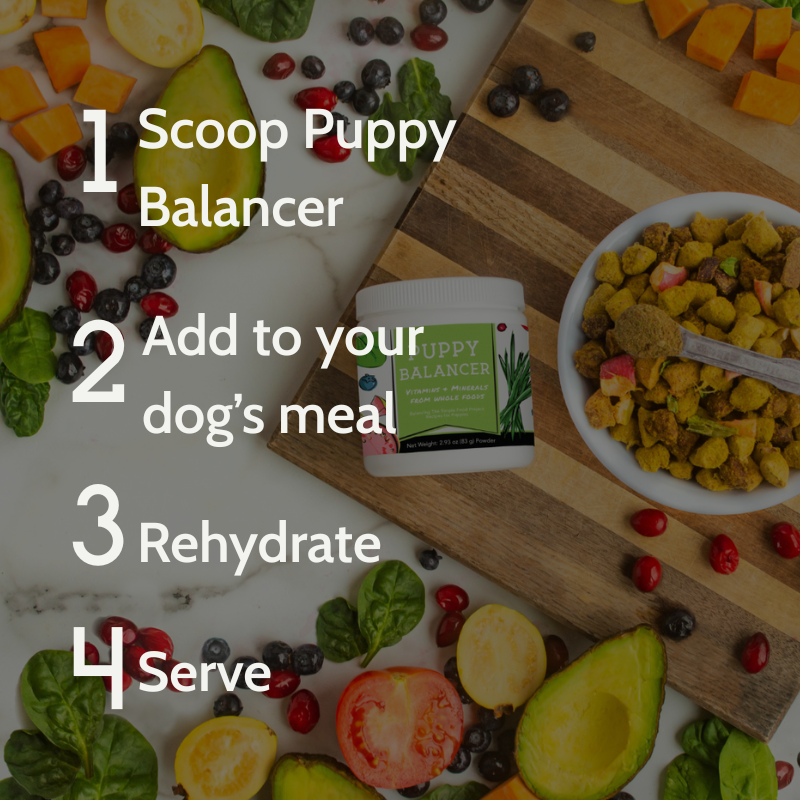 Food for Puppies