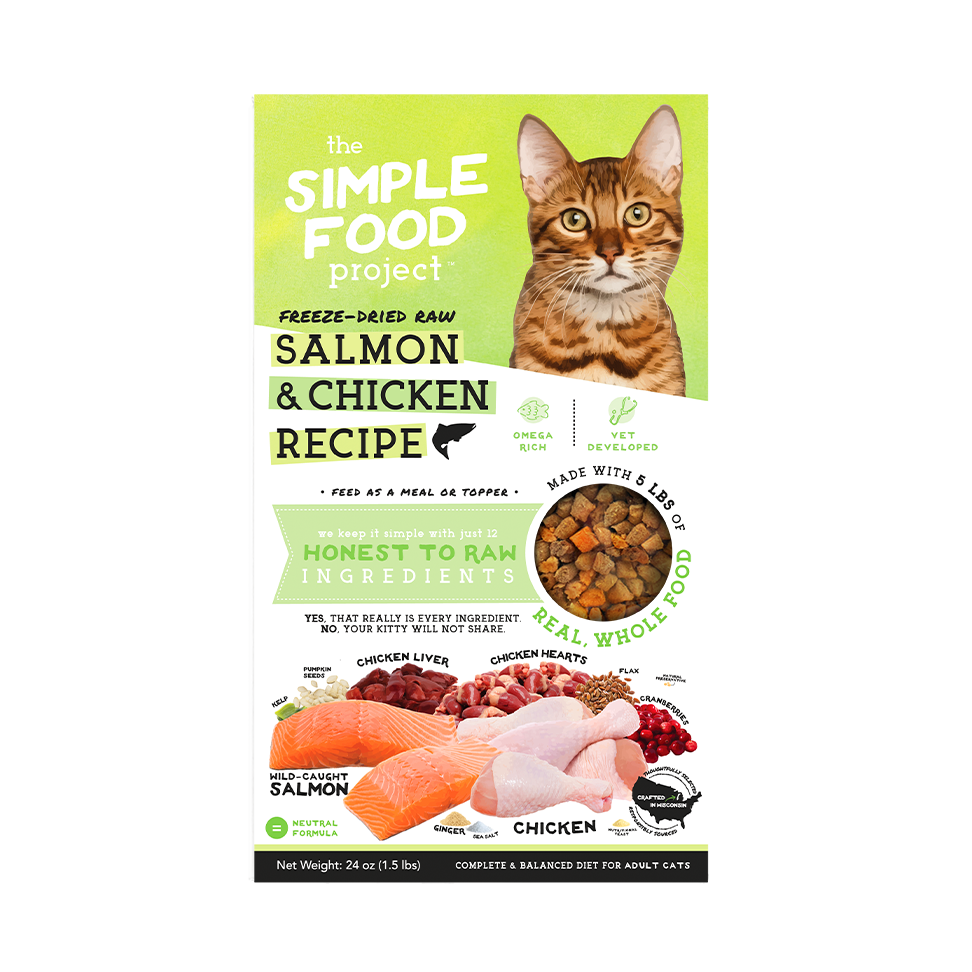 Simple Food Project Food for Cats
