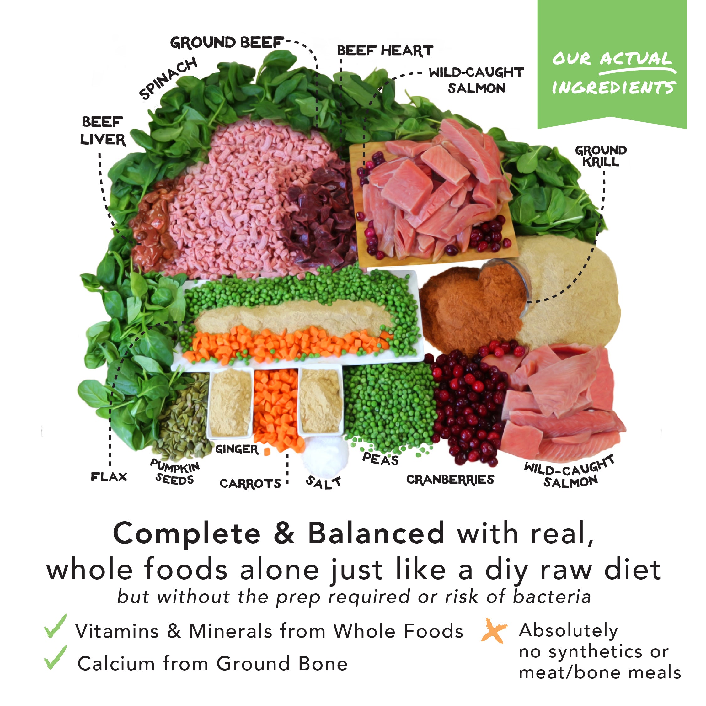 Samples For Dogs - Simple Food Project