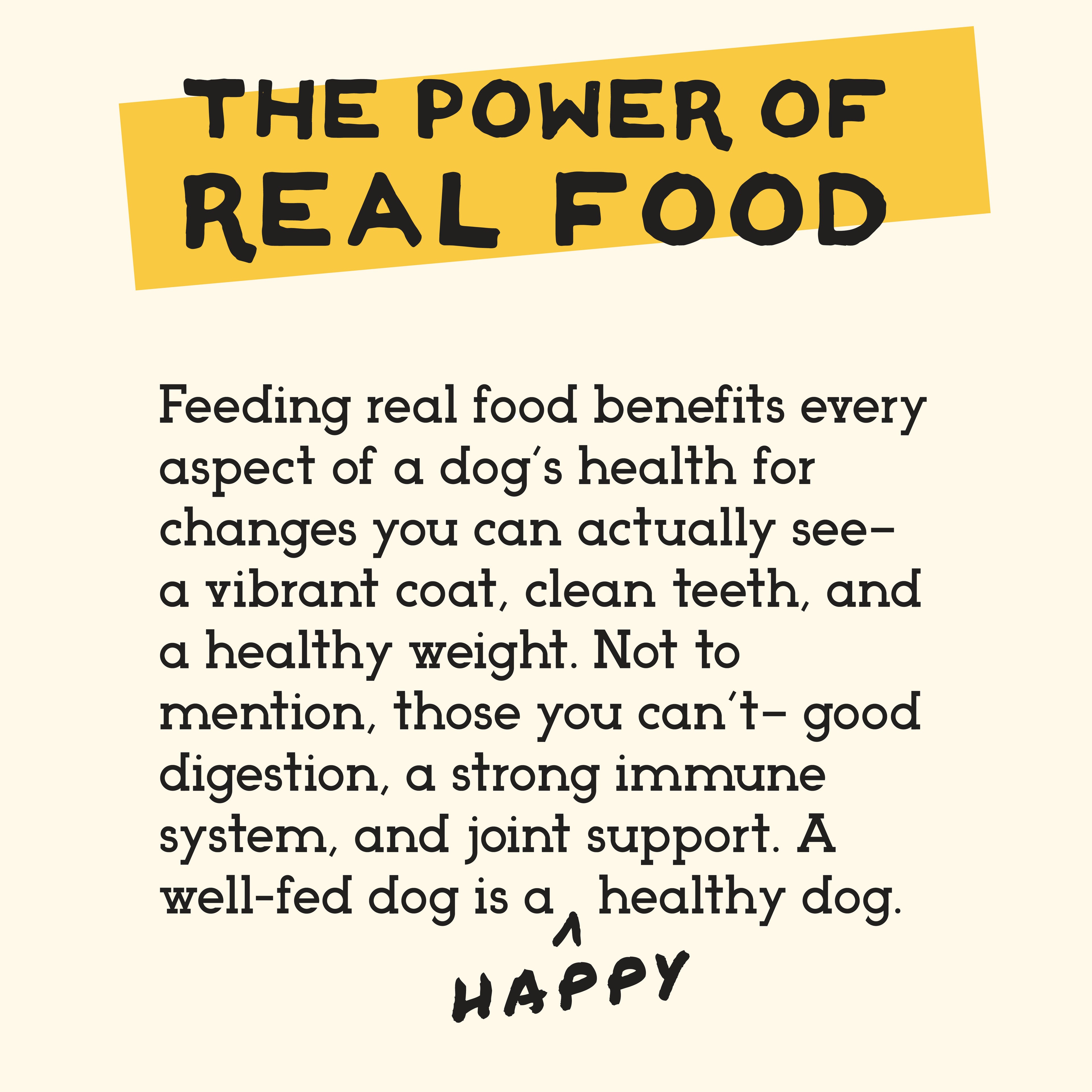 Samples For Dogs - Simple Food Project