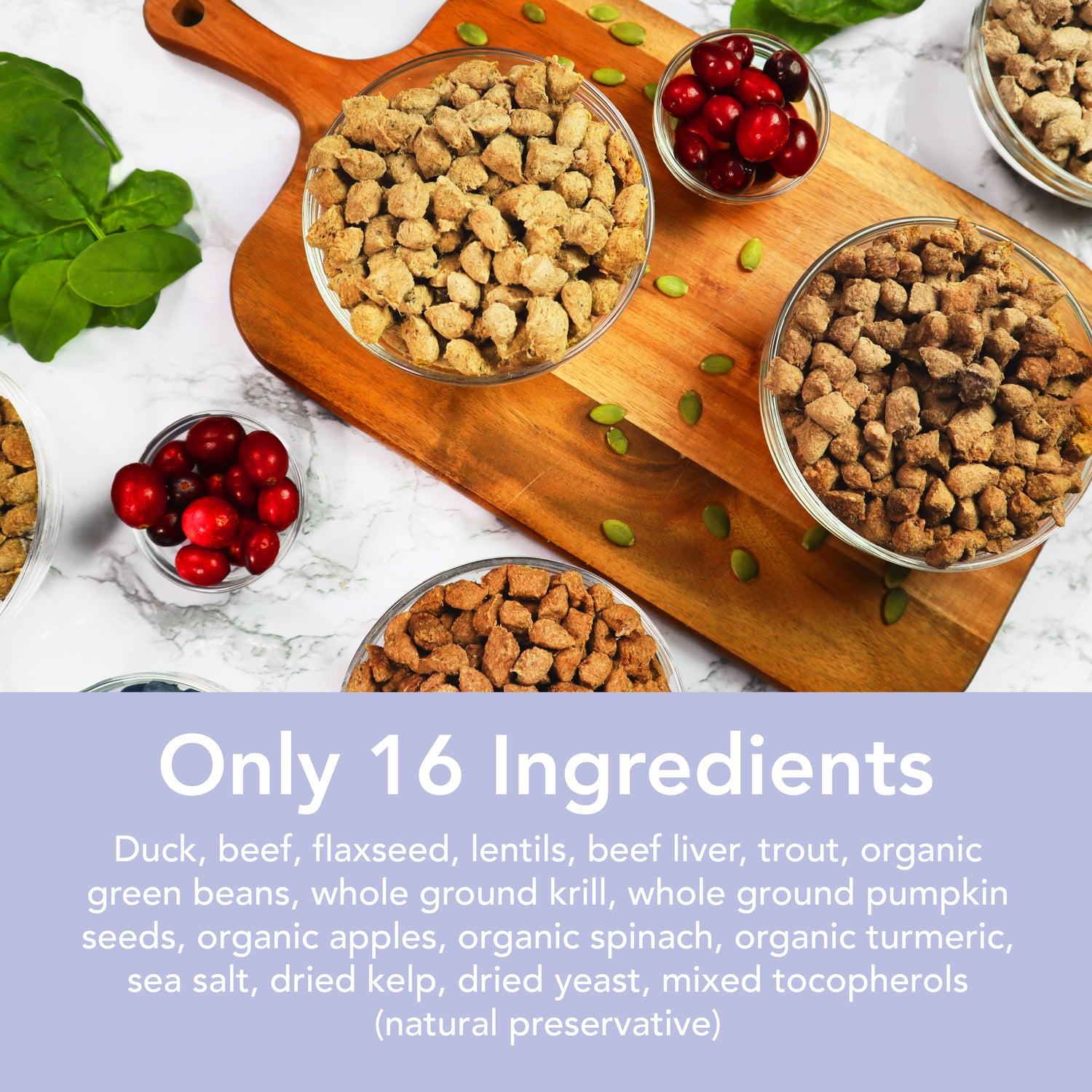 Small Nugget - Samples For Dogs