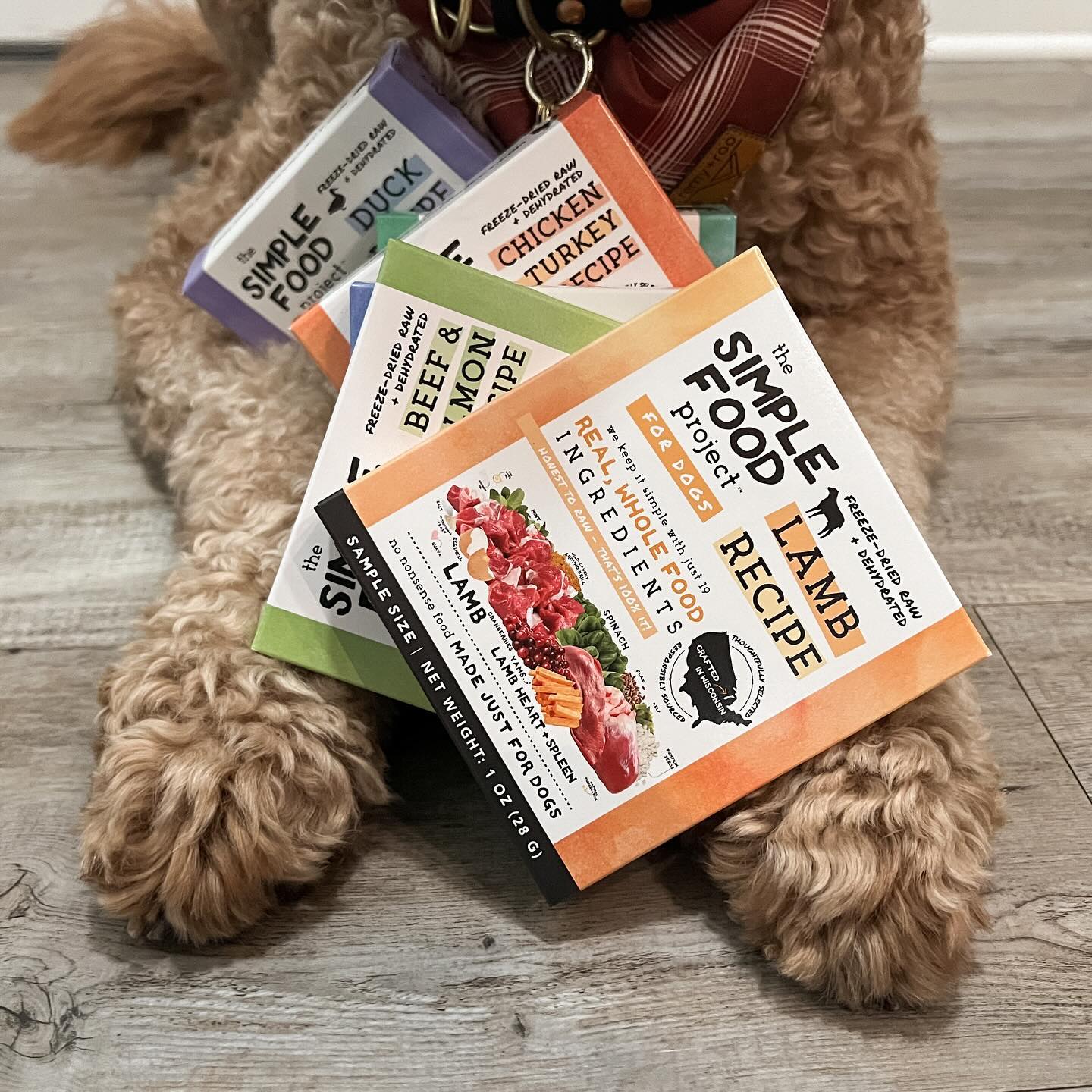 Samples for Pets