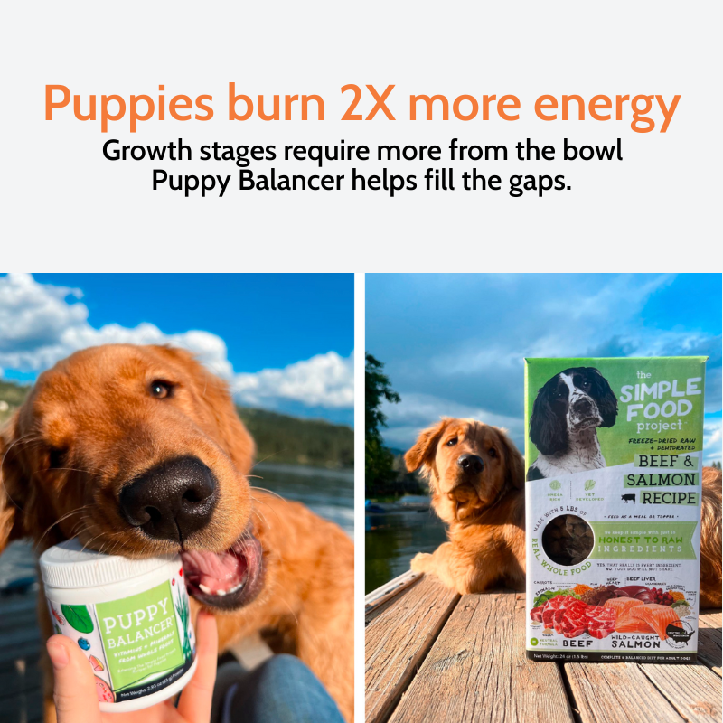 Puppy Balancer
