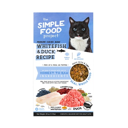 Simple Food Project Food for Cats