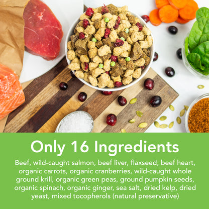 Simple Food Project Food For Dogs