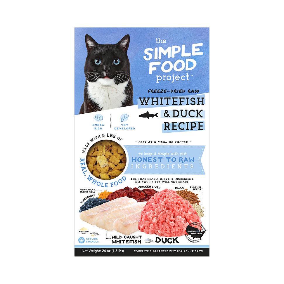 Simple Food Project Food for Cats
