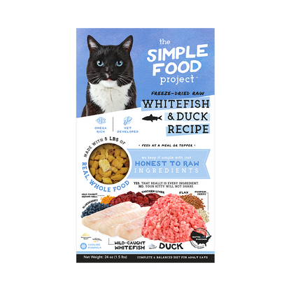 Simple Food Project Food for Cats