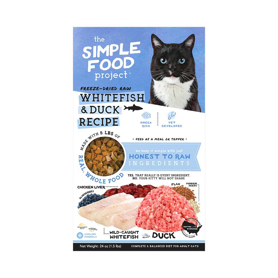 Simple Food Project Food for Cats