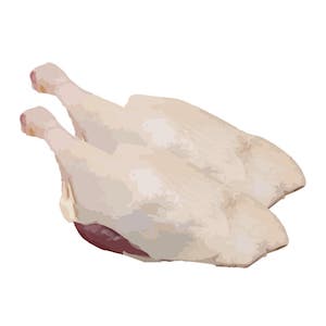 raw duck meat
