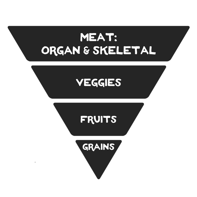 Dog Food Pyramid: primarily meat (organ & skeletal), some veggies, some fruits, little to no grains