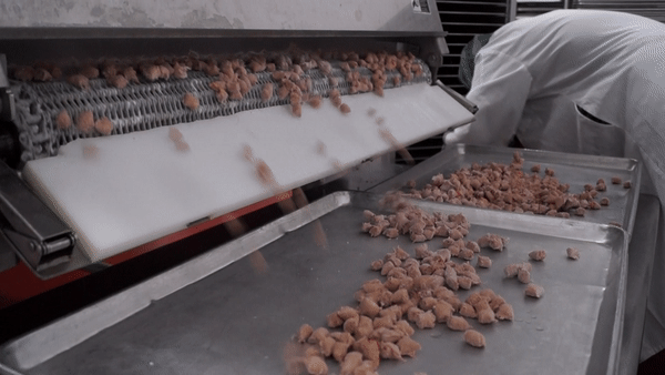 Frozen Nuggets GIF