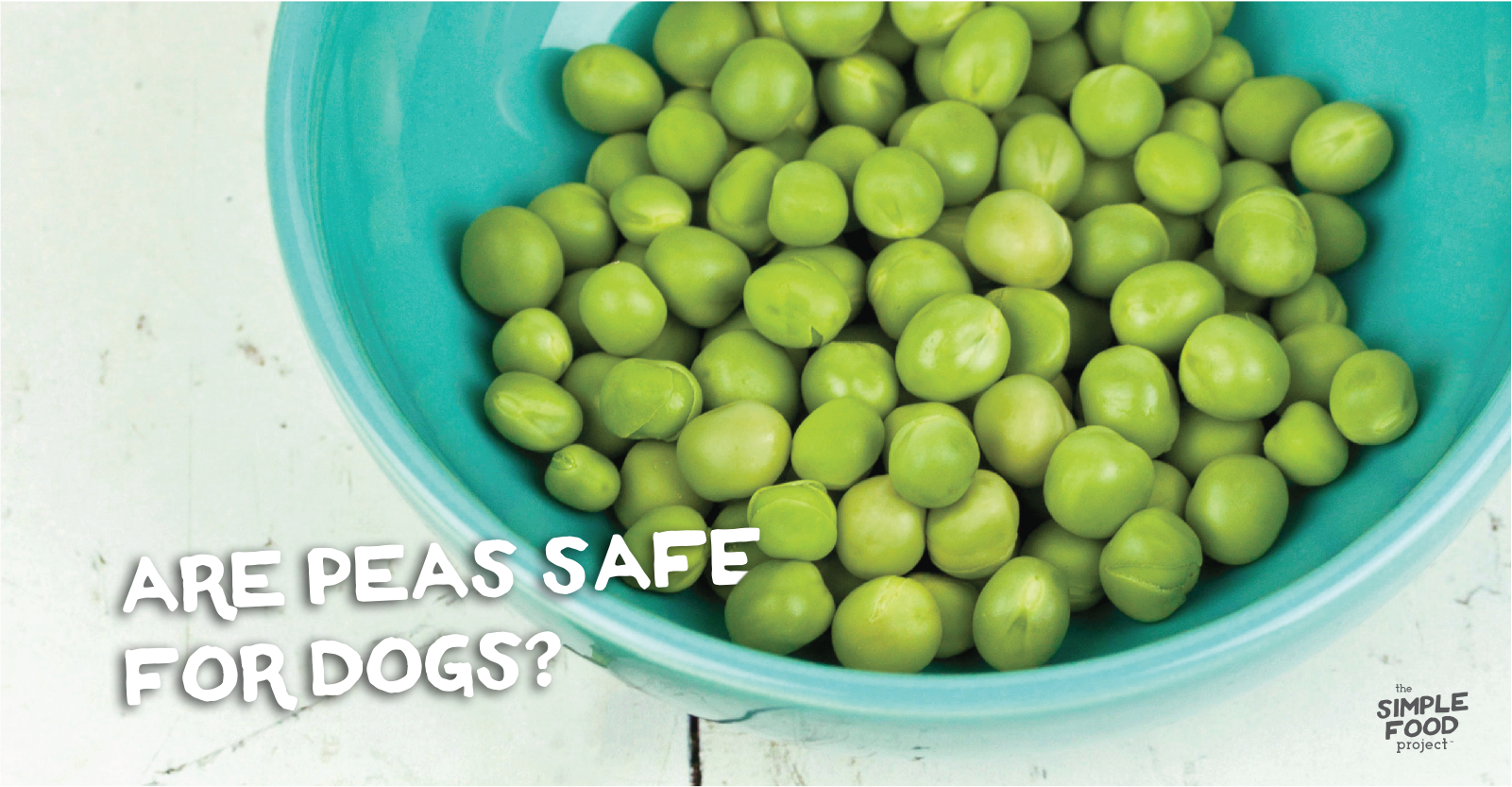 is pea flour safe for dogs