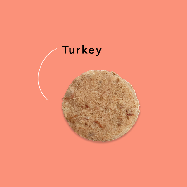 Treat-Turkey