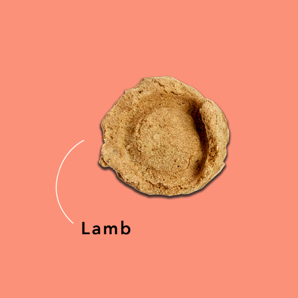 Treat-lamb