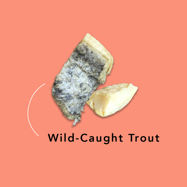 Treat-trout