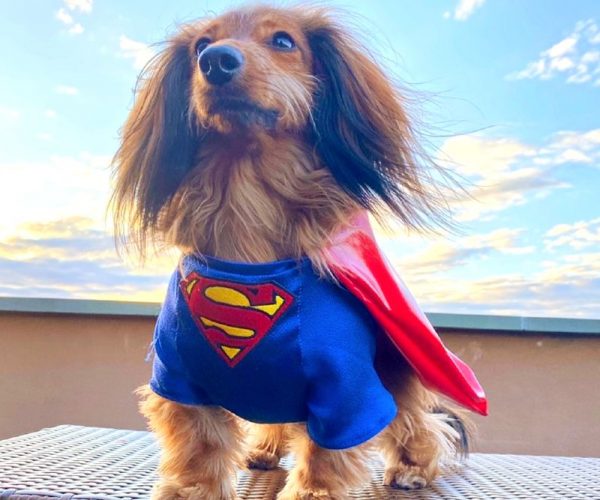 LongboyLincoln_Superman